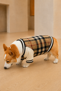 Check Varsity Jacket