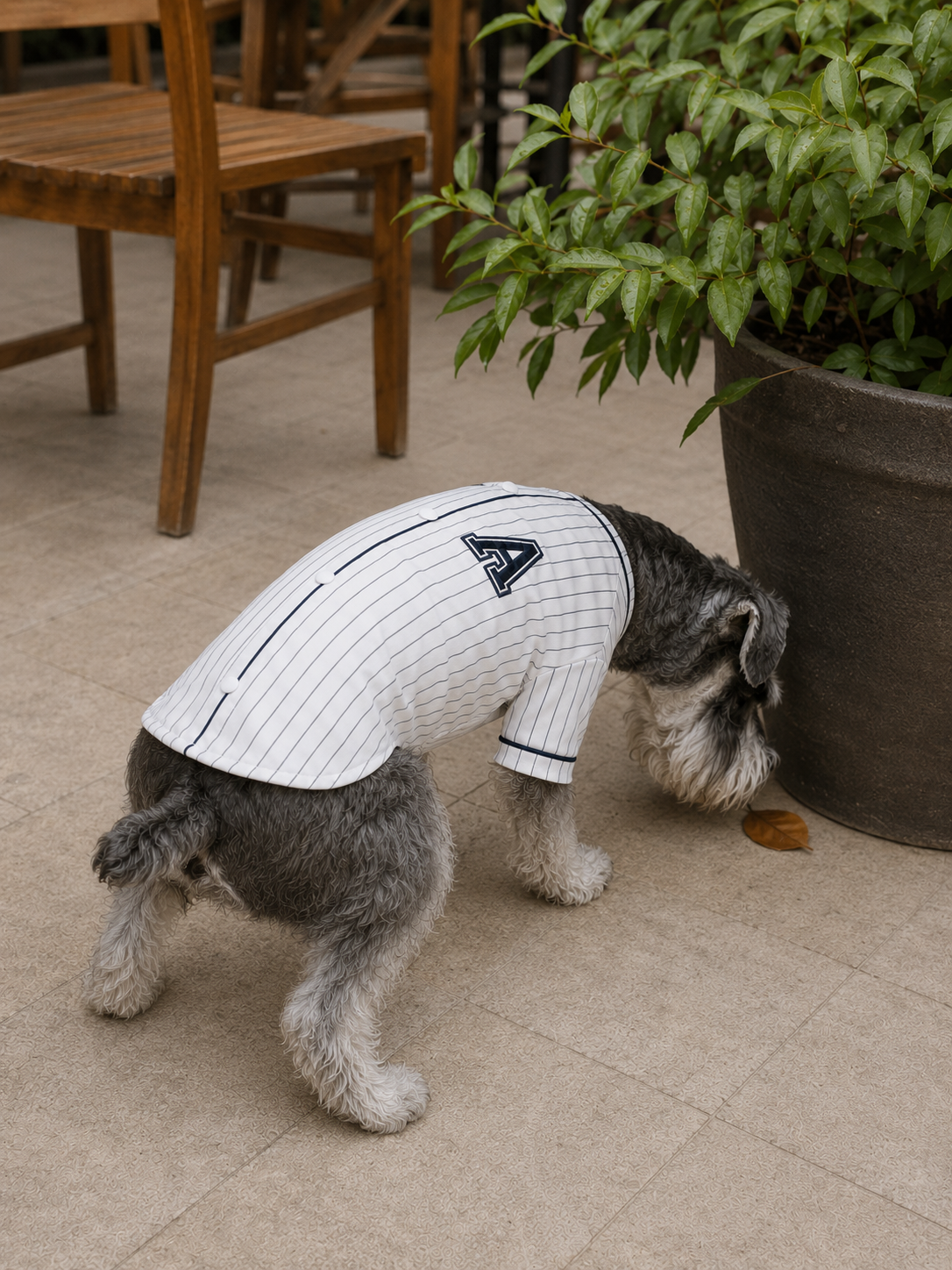 Pinstripe Baseball Shirt