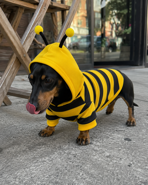 Bee Stripe Hoodie — Yellow