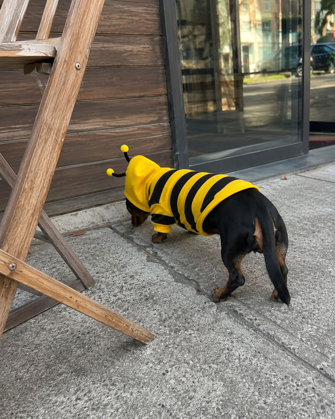 Bee Stripe Hoodie — Yellow