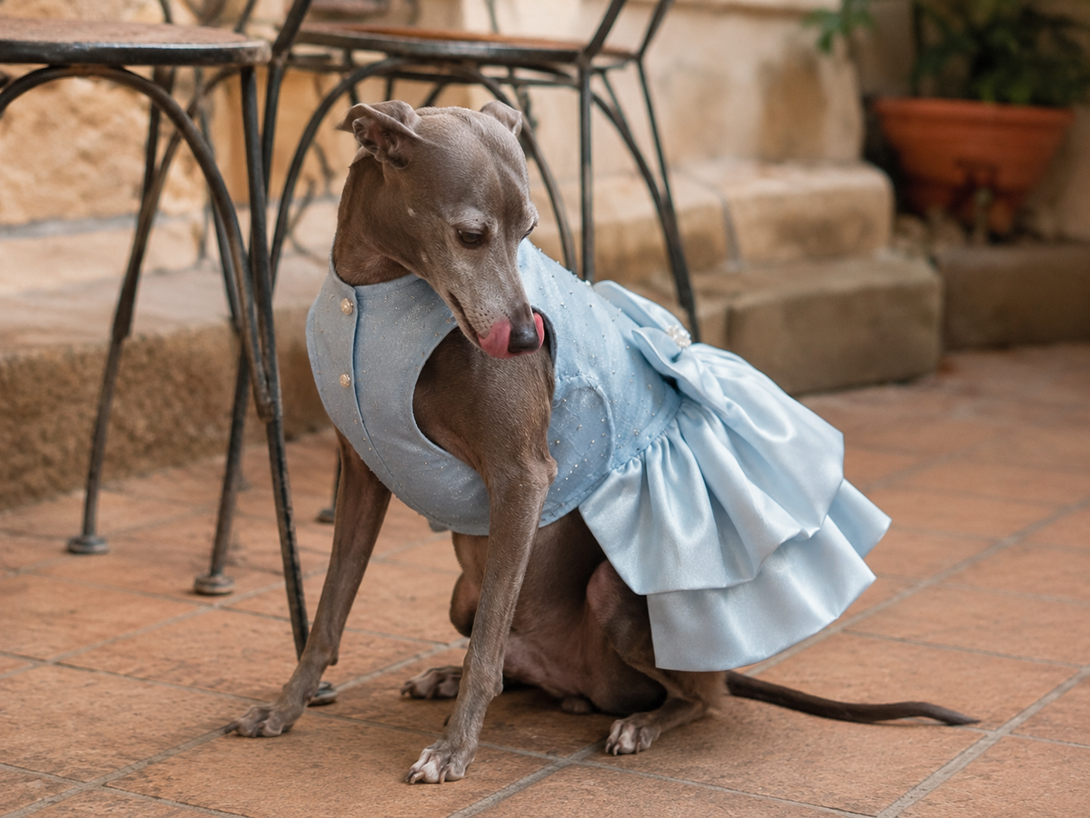 Satin Bow Dress — Sky