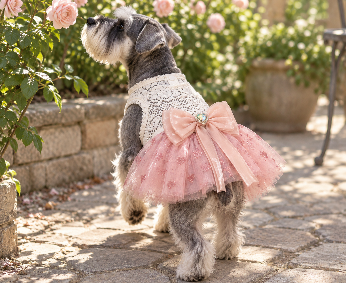 Lace Tulle Tutu Dress — Pink