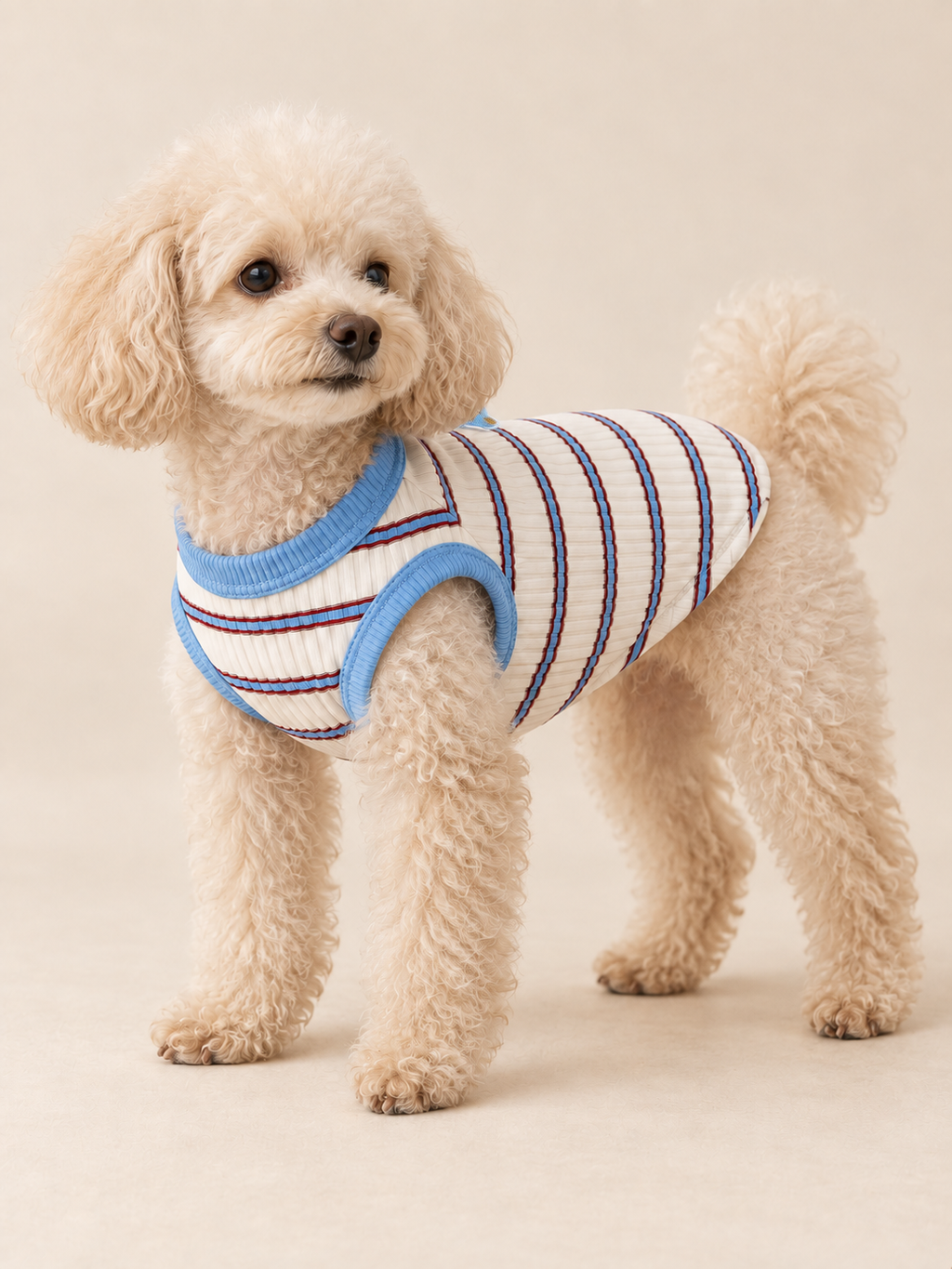 Stripe Bear Patch Tank — Blue
