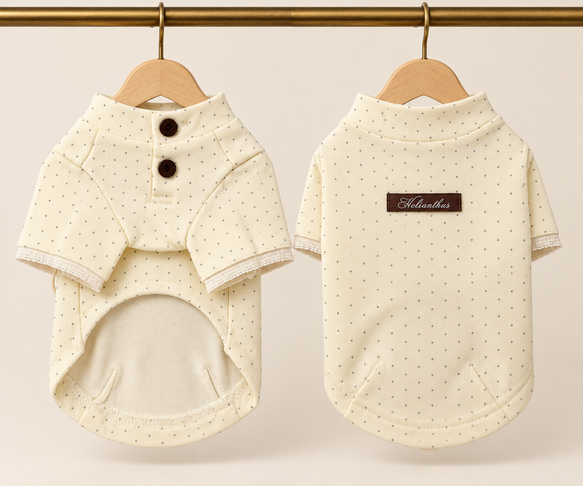 Cream polka dot pet shirt with stand collar, two brown shoulder buttons and lace trimmed cuffs, shown front and back