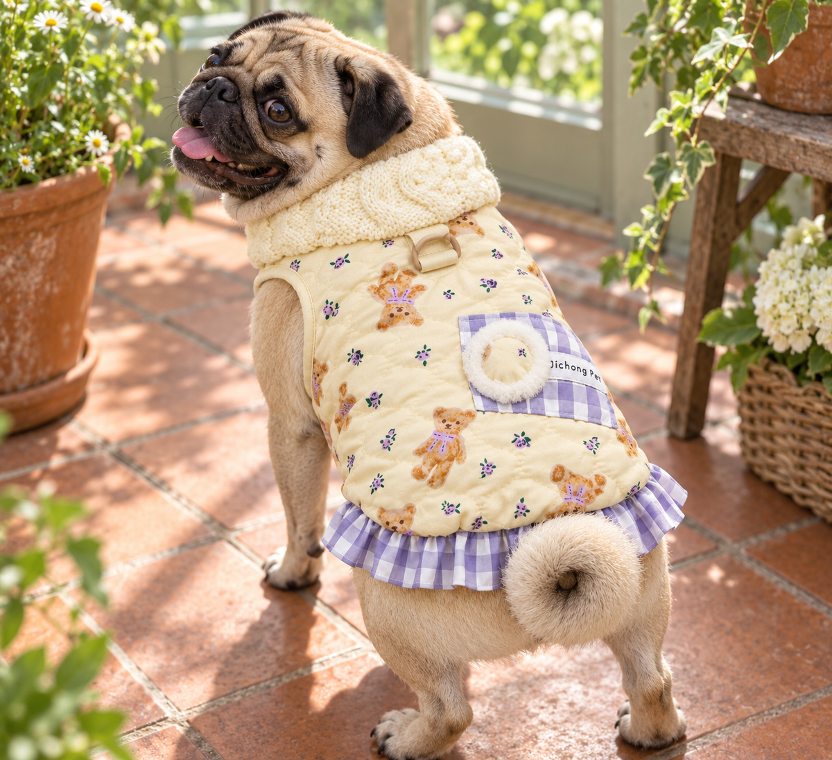 Teddy Print Gingham Dress — Cream